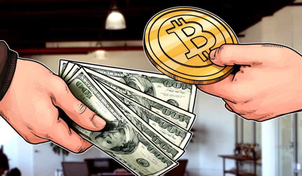 Bitpapa Temporarily Suspends Operations: CEO Addresses Key Factors